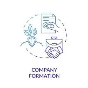 U.S. Business Formation & Corporate Structuring Consulting (LLC / Inc.)